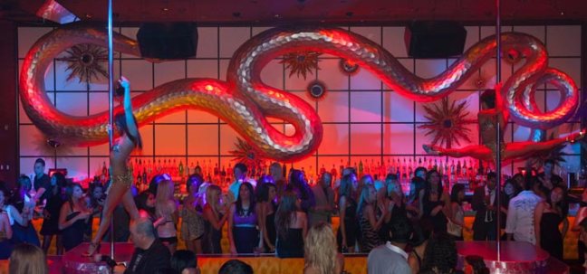 surrender overview.jpg